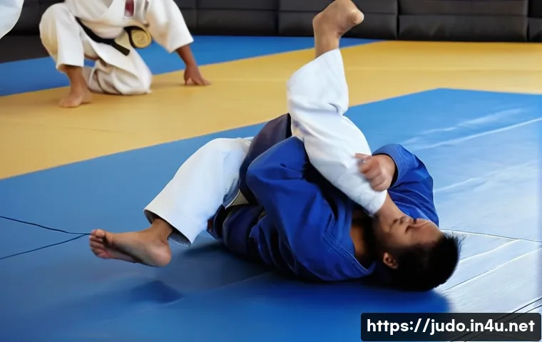 유도 벨트 승급, 단계별 마스터를 위한 놀라운 비법 공개 4 유도 벨트 단계별 설명 관련 이미지 2